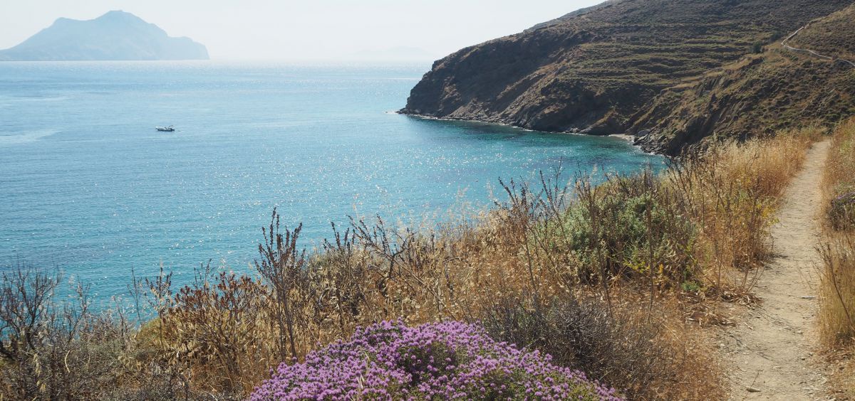 Ein Weg am kargen Ufer der griechischen Insel, Wildkräuter mit zarten lila Blüten wachsen in Büscheln am Wegesrand. Das Meerwasser leuchtet blau-türkis im Licht der Sonne, am Horizont erkennt man eine weitere Insel.
