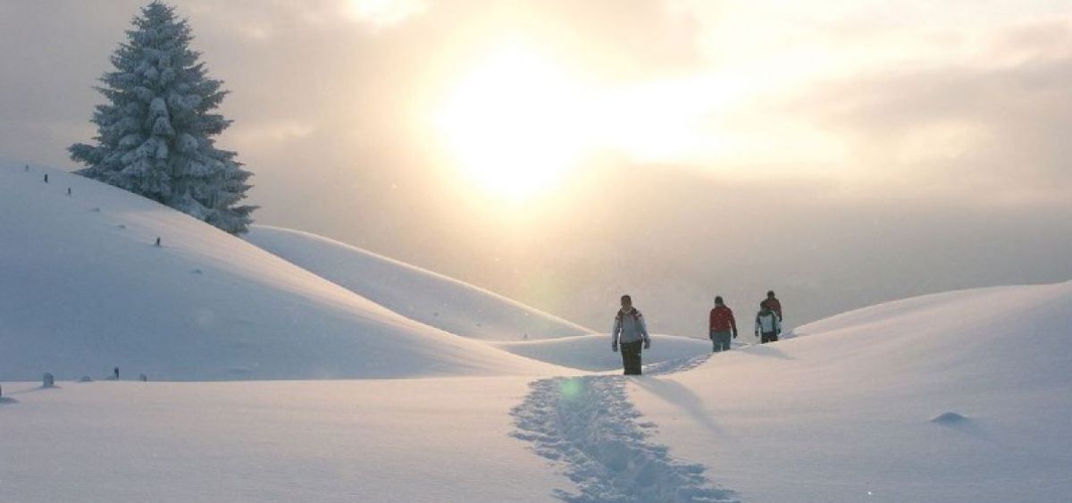 Winterwanderung im Kleinwalsertal.