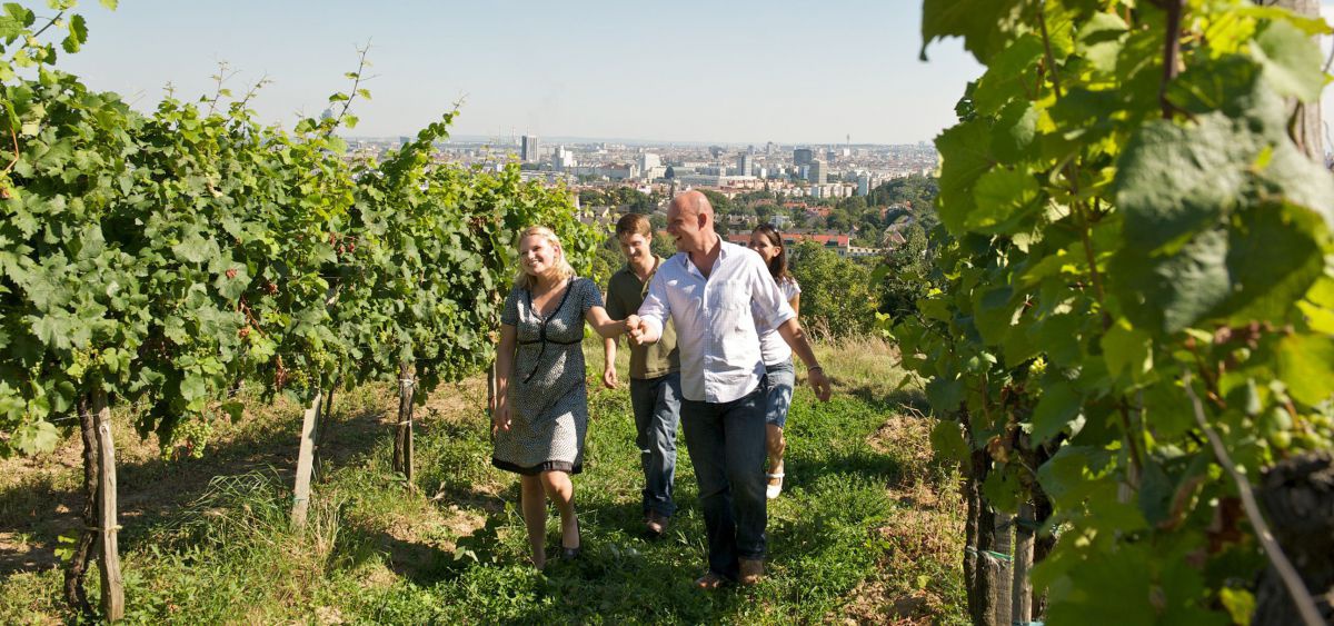 4 Personen wandern durch einen Weingarten. Im Hintergrund die Stadt Wien.