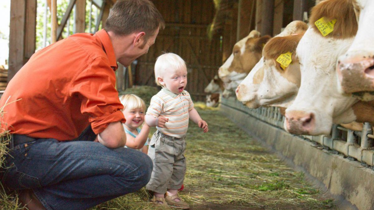 Kleine Kinder voll Staunen im Kuhstall