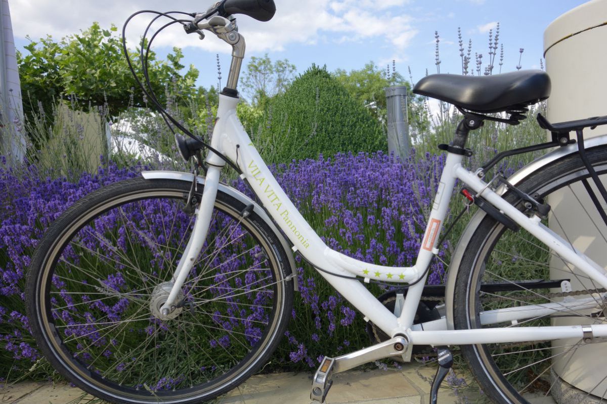 Fahrrad.