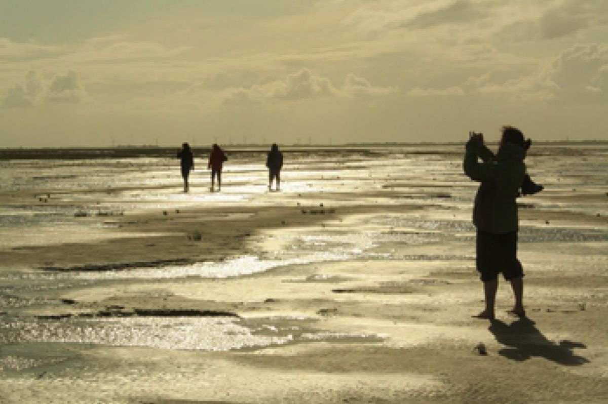 Schleswig-Holsteinisches Wattenmeer.