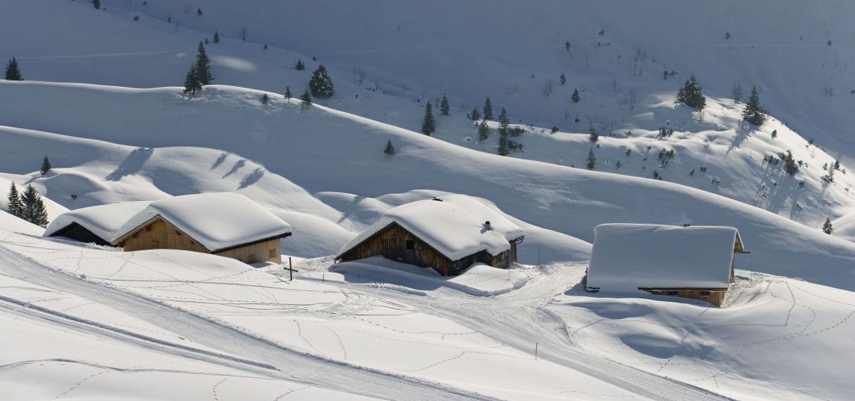 Alpe Oberpartnom