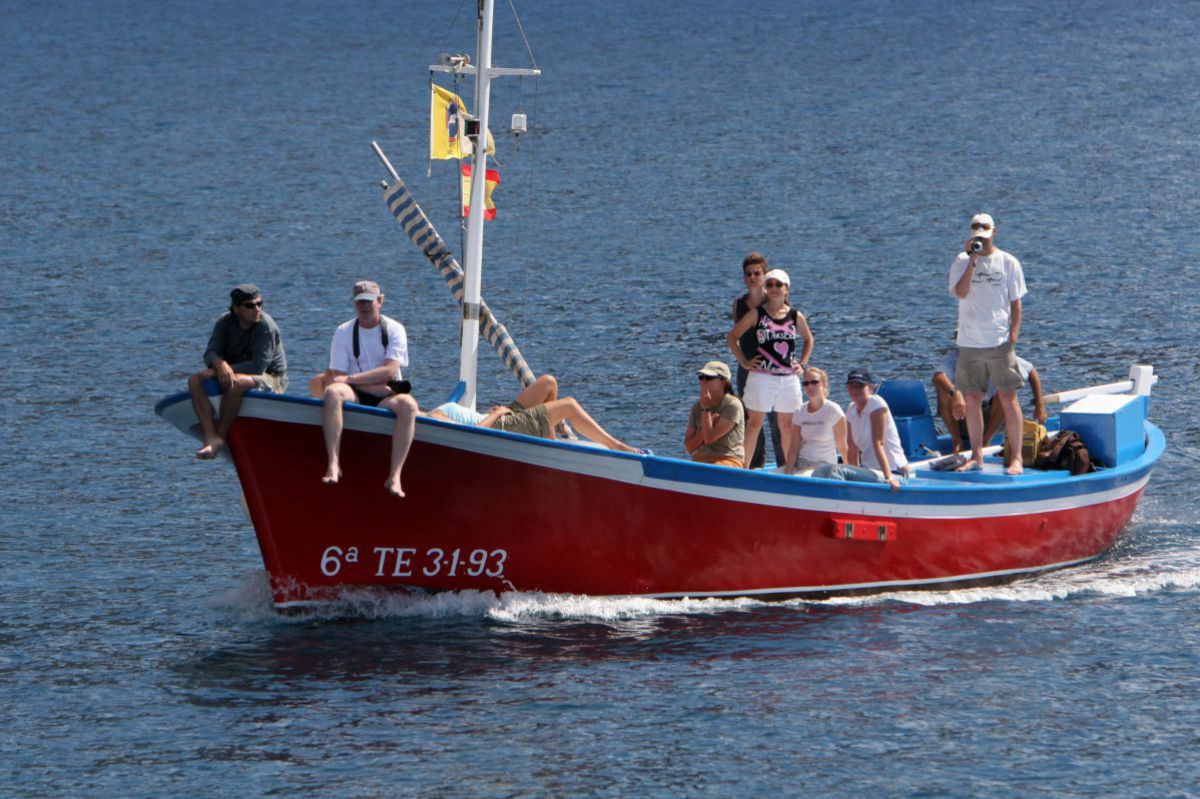 Gruppe fährt mit Boot zur Wal- und Delfinbeobachtung ausf Meer hinaus.