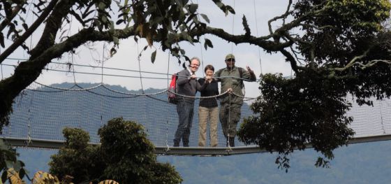 Nationalpark-Ranger Thierry Hitimana führt 2 Gäste über eine Hängebrücke im Nyungwe National Forest in Ruanda.