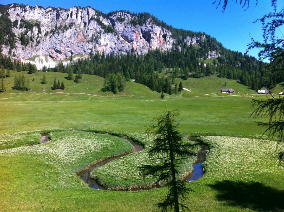 Mäandrierende Teichl am Teichlboden