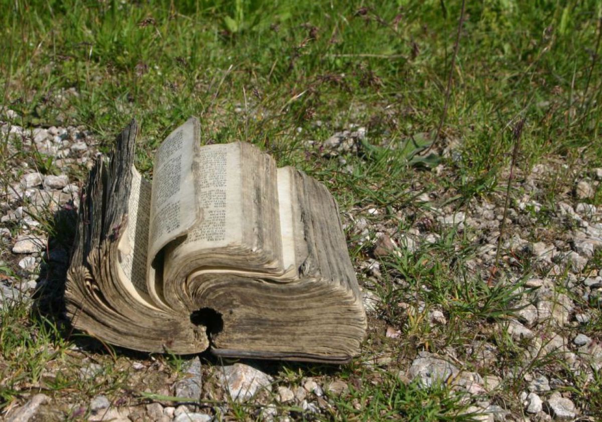 Lutherbibel auf dem Weg des Buches. 