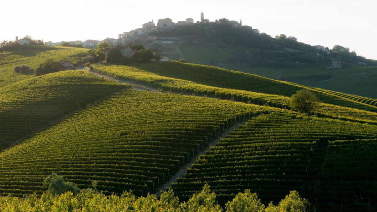 Sanfte Hügel im Piemont