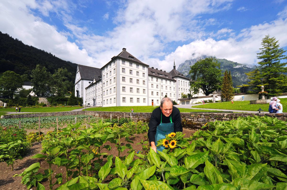 Klosterbruder pflückt Sommenblume im Garten, dahinter Klostergebäude