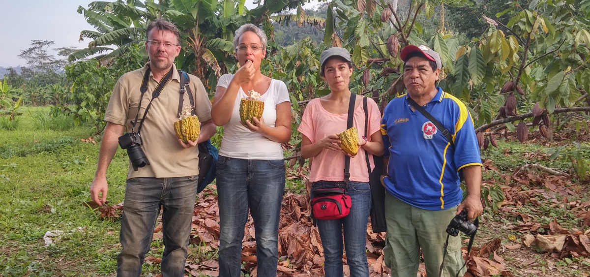 Vier Personen probieren Kakaobohnen