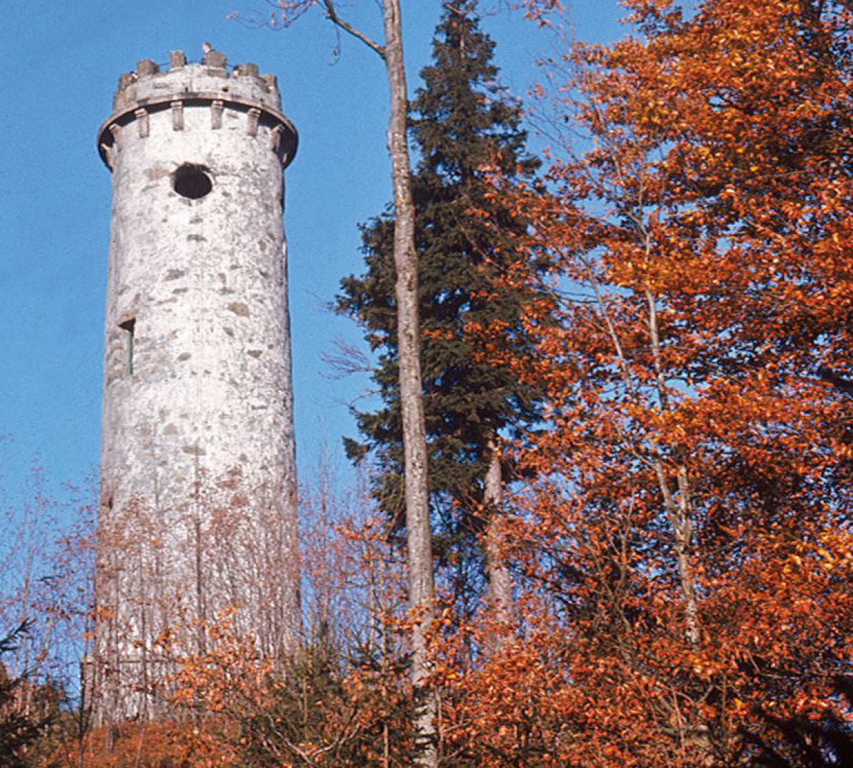 Sternsteinwarte - ein runder steinerner Turm im herbstlichen Wald.