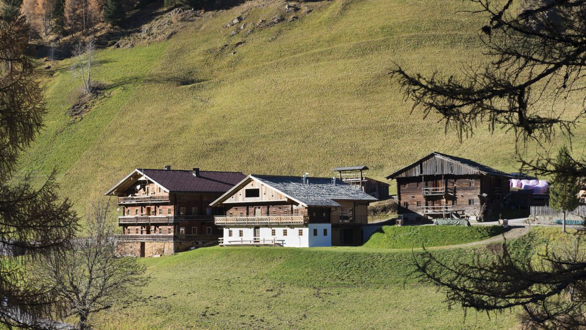 Altes Bauernhaus mit Nebengebäuden auf einem Berghang.