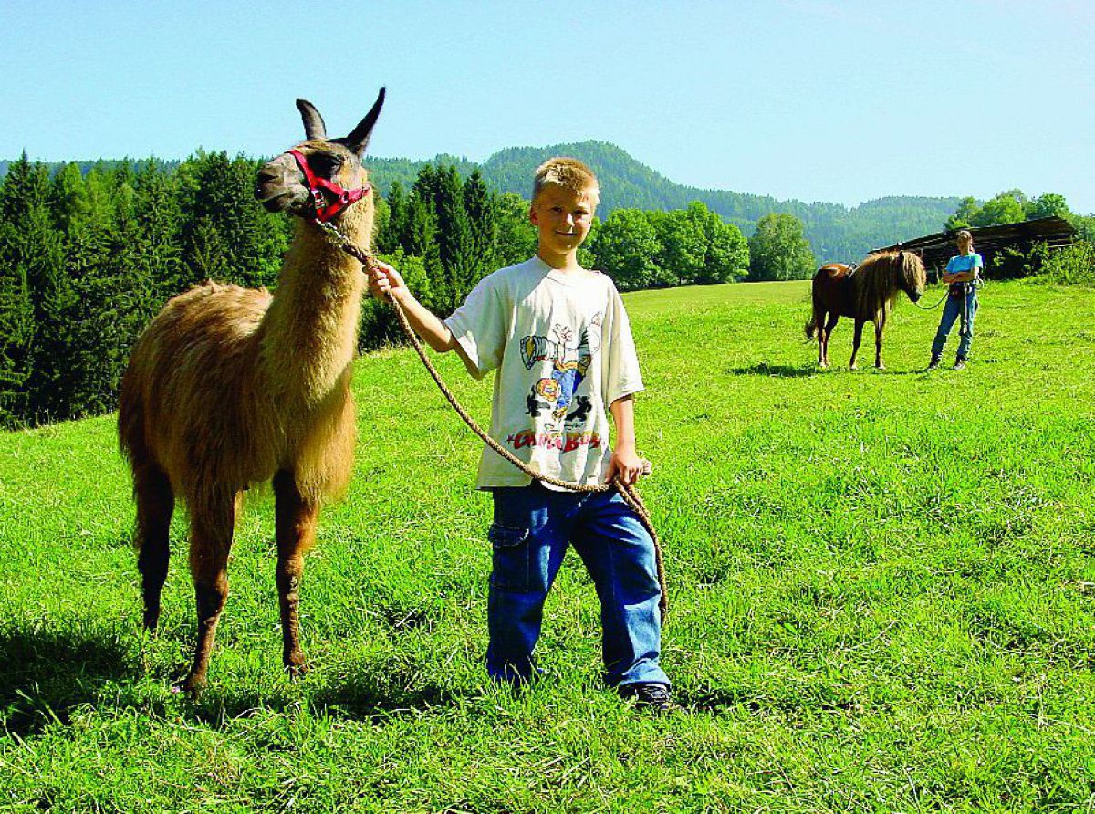Kind mit Lama an der Leine