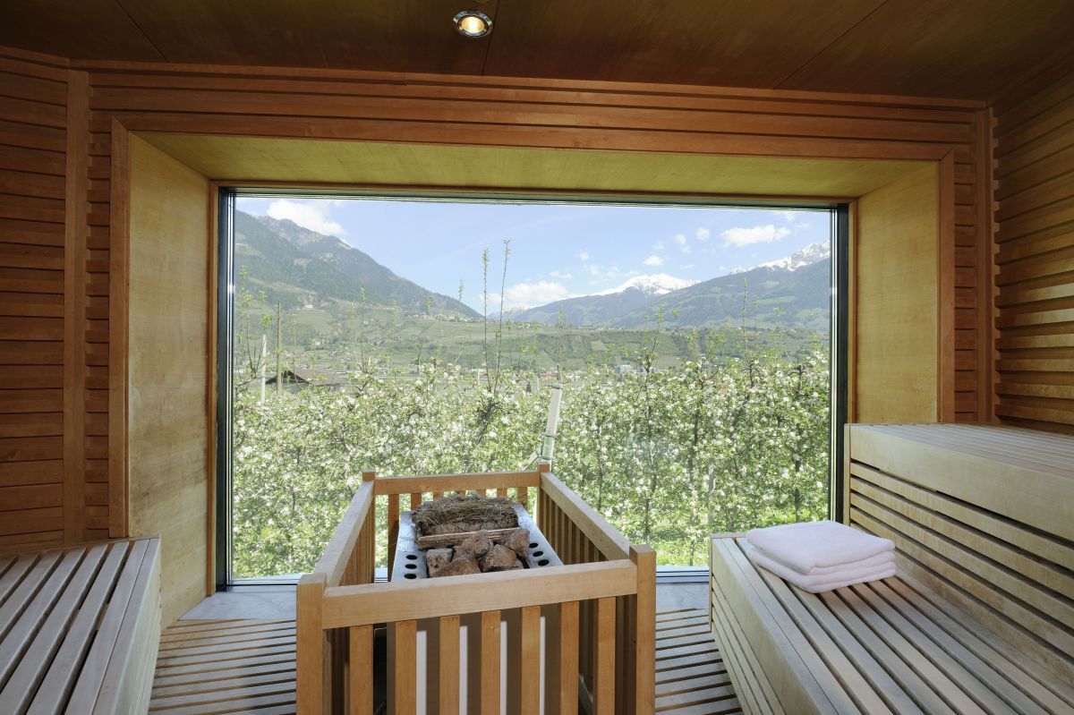 Sauna mit Blick in den Obstgarten.