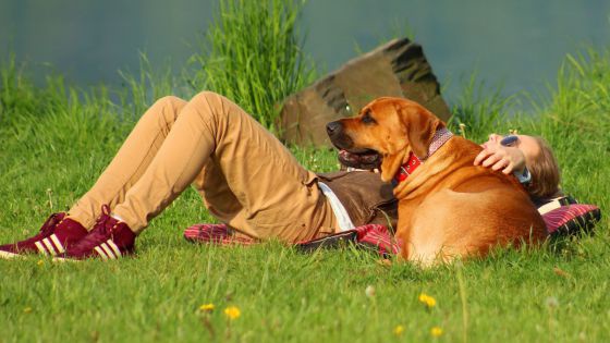 Frauchen liegt mit Hund im Gras