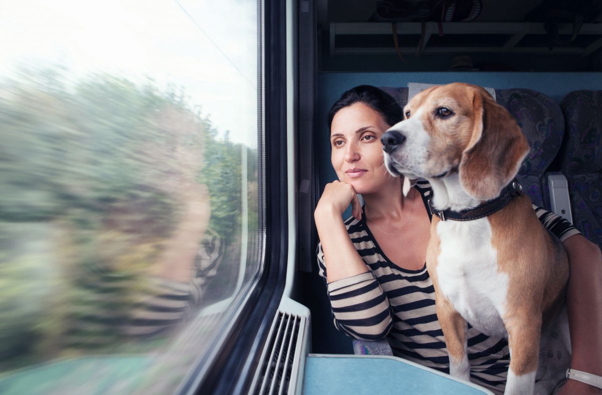 Frau und Hund schauen aus dem Zugfenster raus.