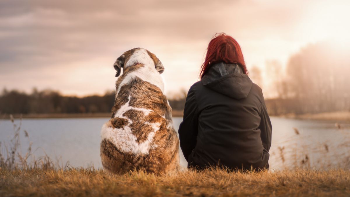 Frau und Hund sitzen im Gras un blicken auf einen See.