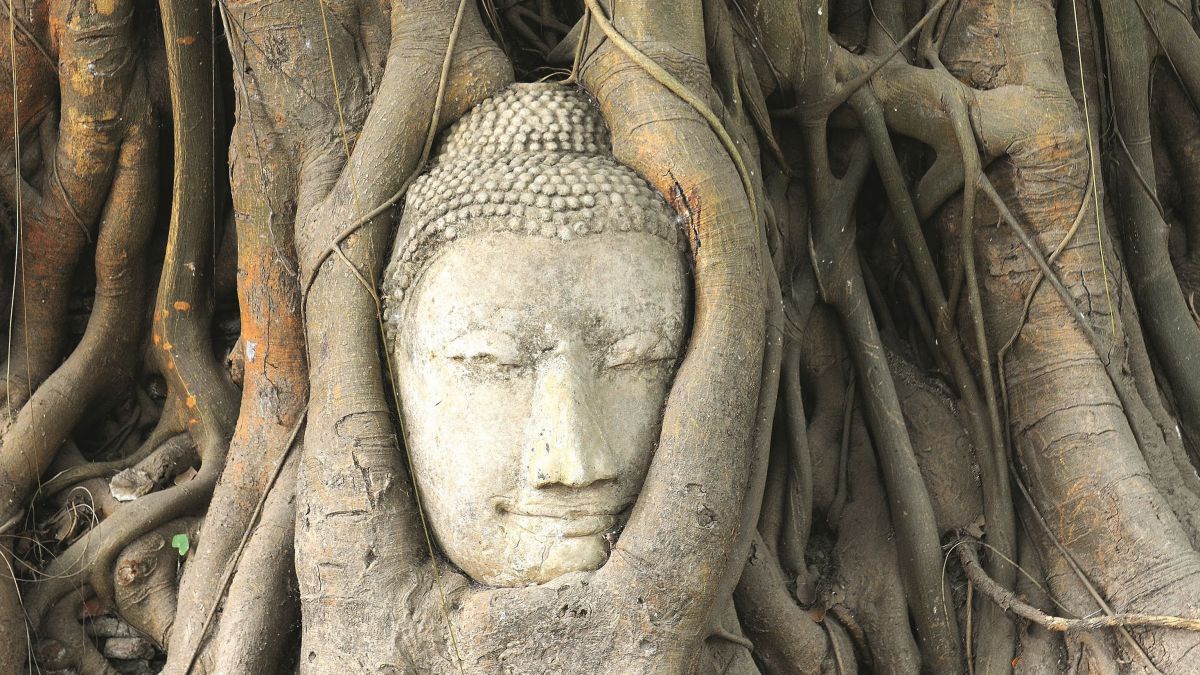 Ayutthaya - Steinerner Kopf einer Statue von Baumwurzeln umwachsen