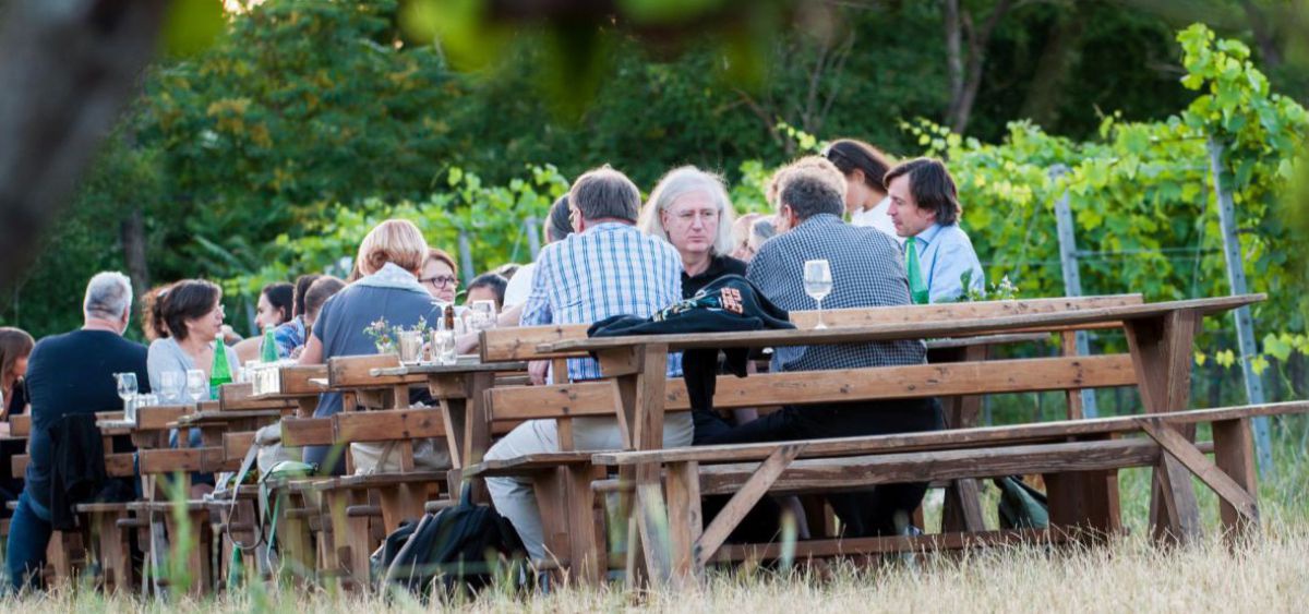 Heurigenrunde im Weingarten