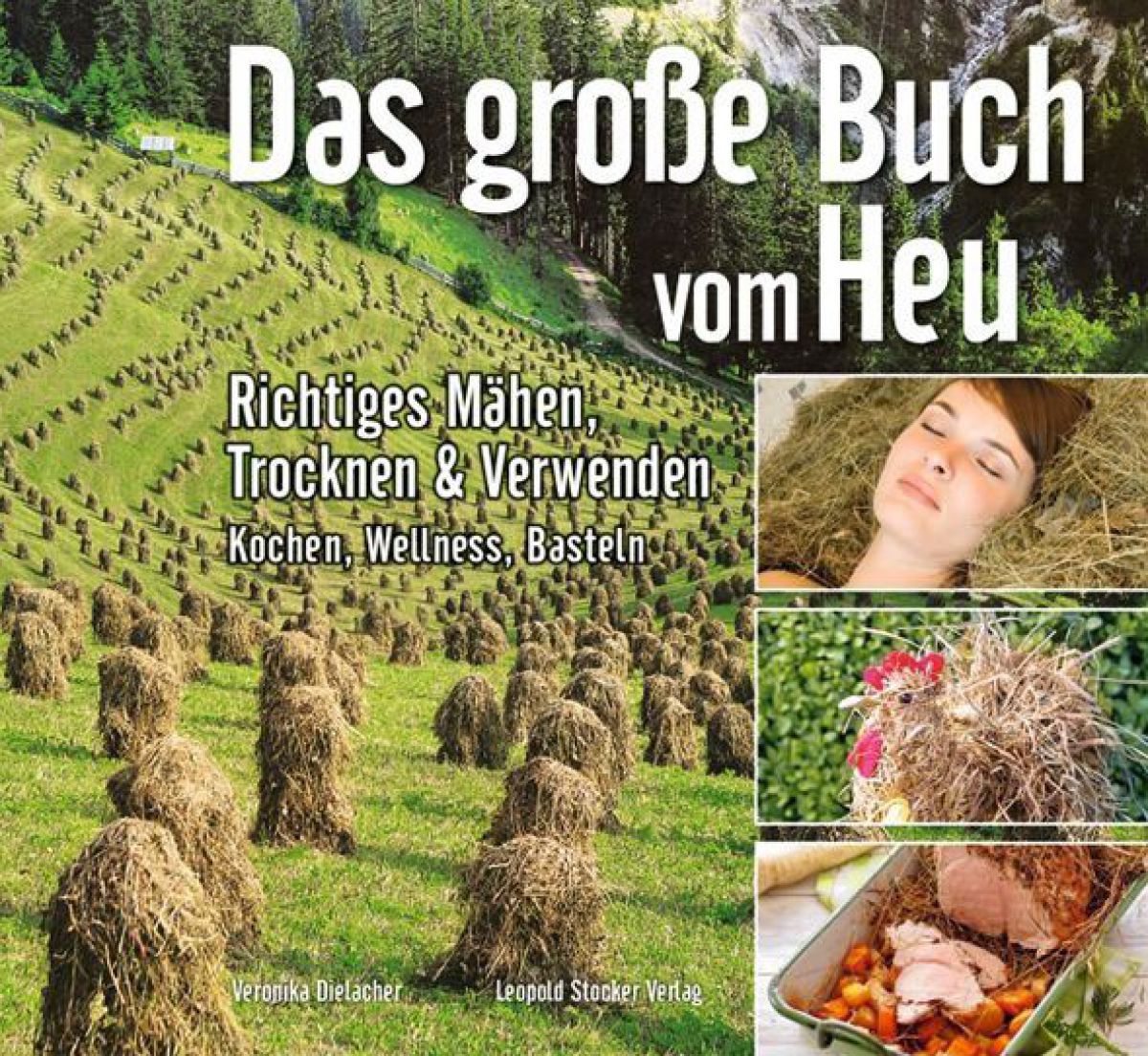 Buchcover - Heuwiese mit vielen kleinen Heumännchen (=Heu wird zu hleinen Türmen zusammengetragen).