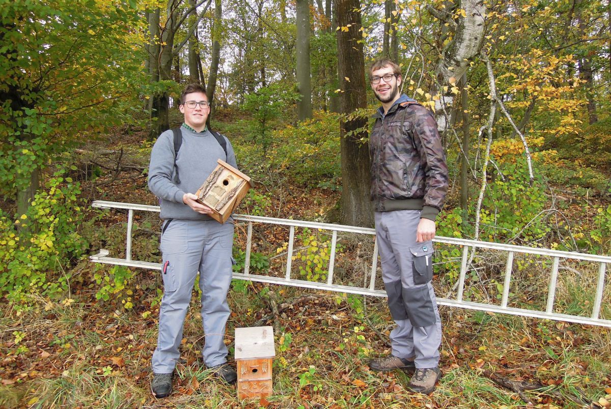 Sebastian Brandl und Julian Grausgruber montieren Vogelnistkästen im Naturpark Jauerling.