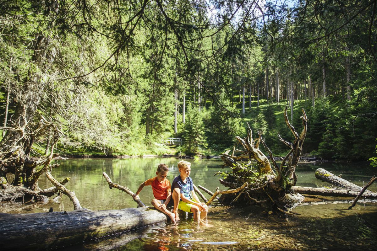 2 Kinder sitzen auf einem Baumstamm und lassen die Füße in einen Waldsee baumeln