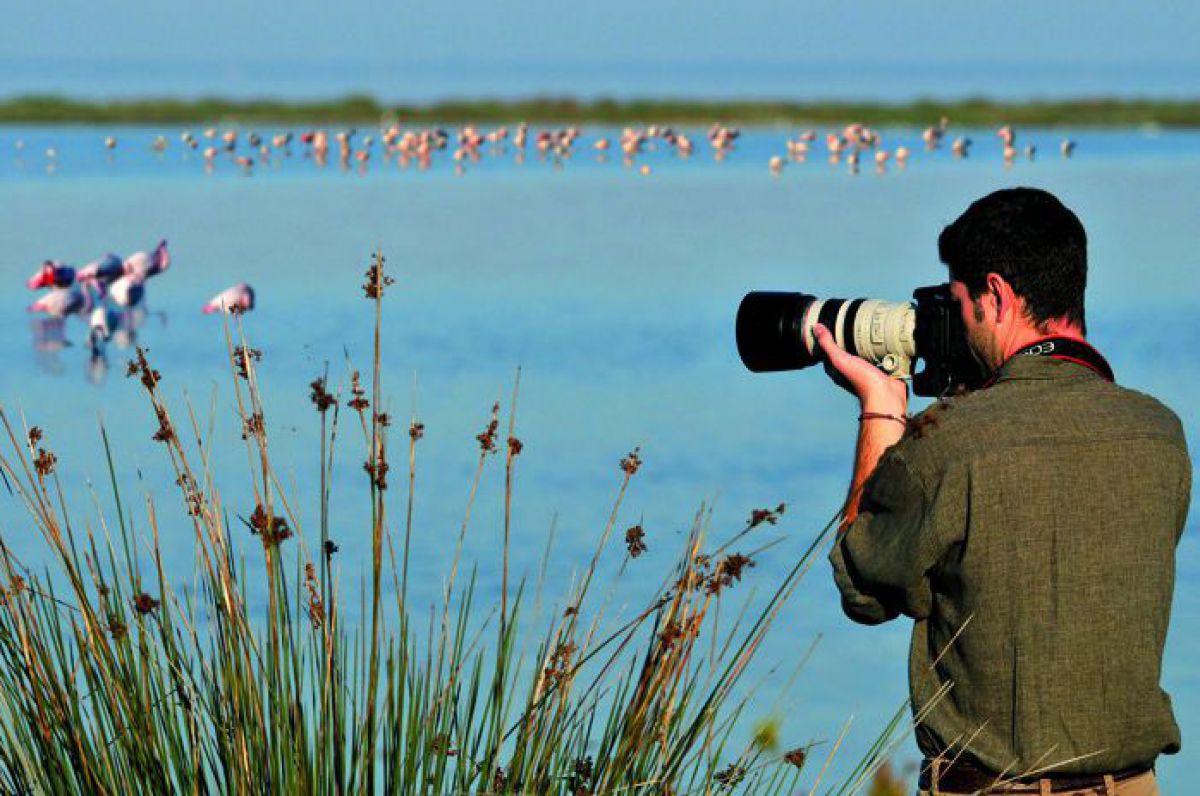 Mann mir Fotokamera, dahinter im Wasser Flamingos.