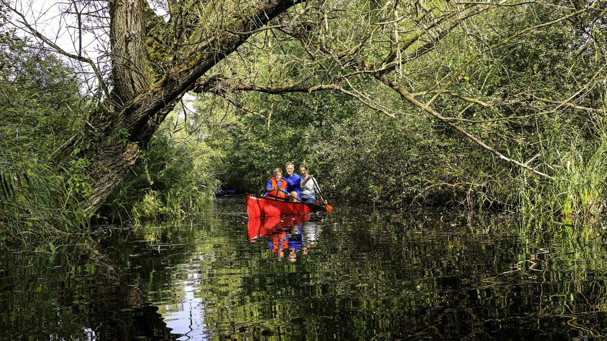 3 Personen in einem Kanu in einem urwaldähnlichem Seitenarm.