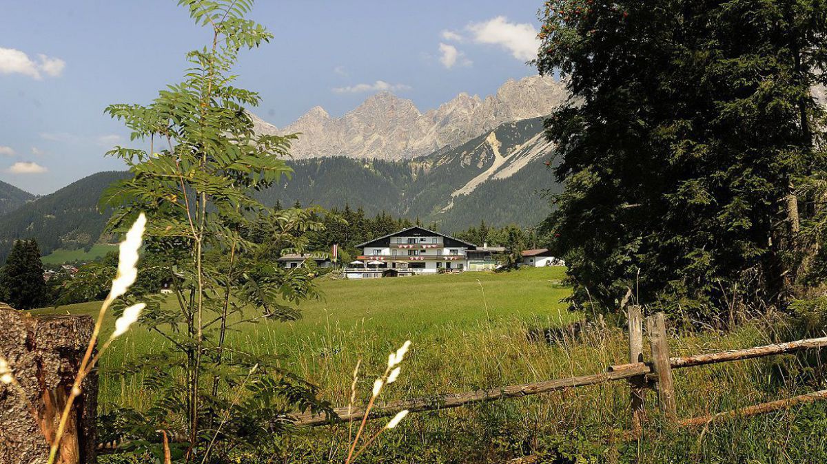 herold-von-weiter-weg