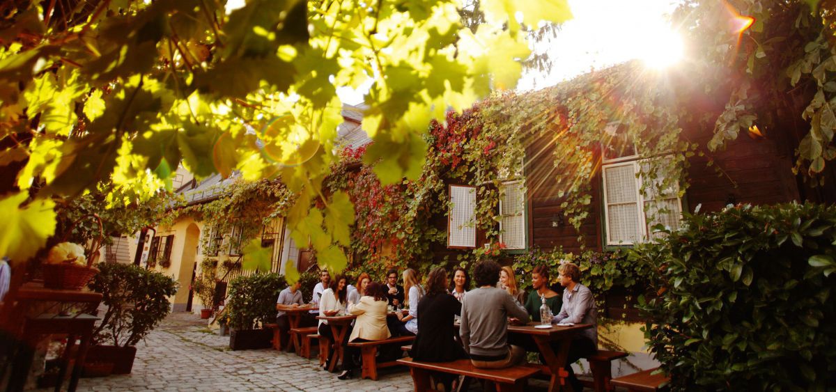 Heurigen Gastgarten mit vielen Besuchern. Weinreben rankn sich am Haus hoch.