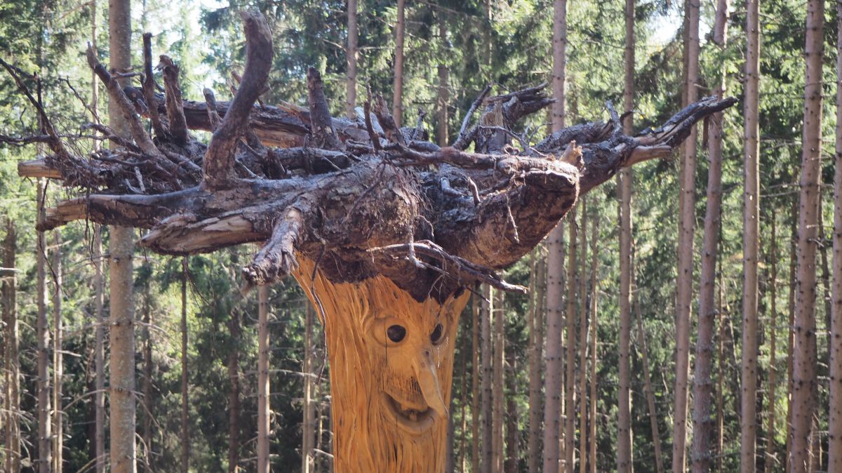 In einen verkehrt herum aufgestellten Baumstamm geschnittenes Gesicht, die Wurzeln bilden die Haare.