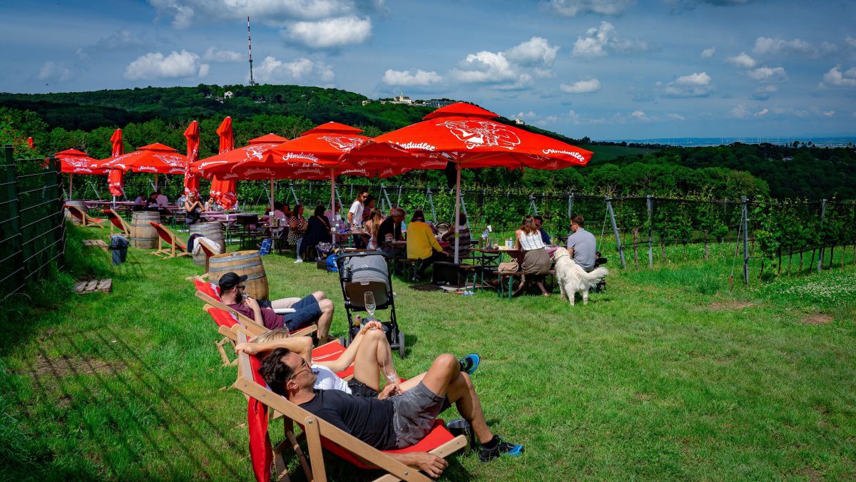 Heurigengarnituren im Weinberg