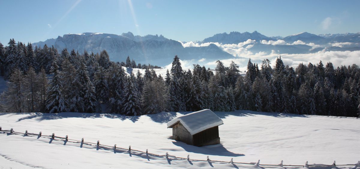 Tief verschneite Landschaft im Sonnenschein.