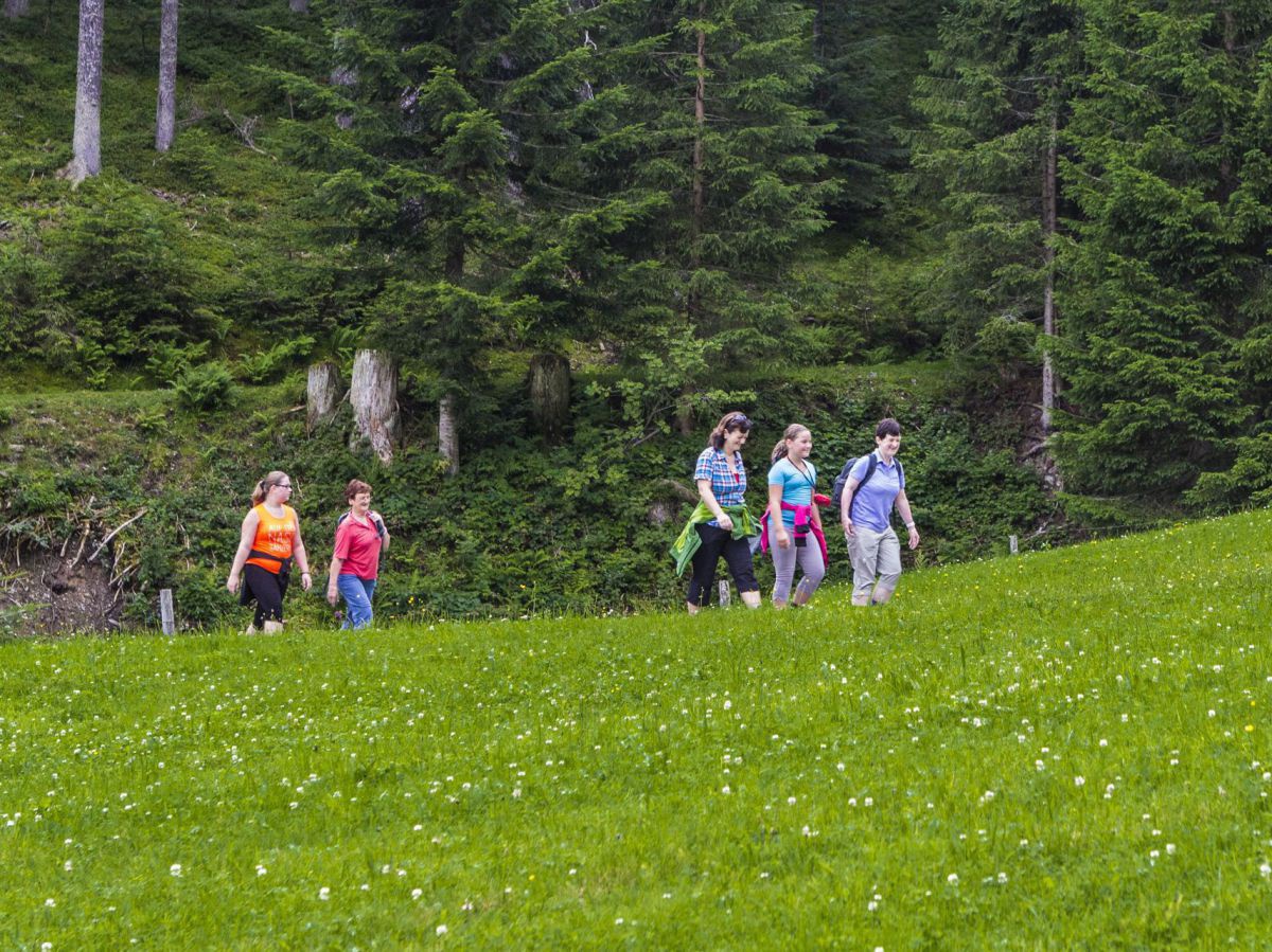 5 Frauen wandern durch die Wiese