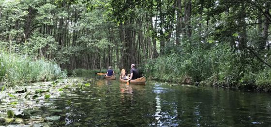 Zwei Kanus gleiten durch einen Wasserweg im Wald