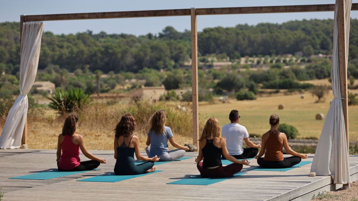 6 Personen sitzen im Yoga-Sitz auf einer Holzplattform und schauen in die weite Landschaft.