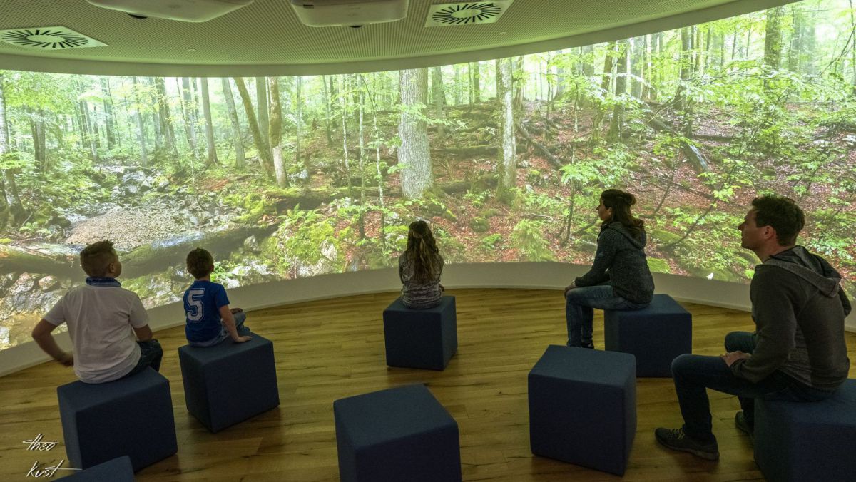 Kinder sitzen in einem Vortragsraum - vot Ihnen eine runde raumfüllende Leinwand mit einem Bild aus dem Urwald.