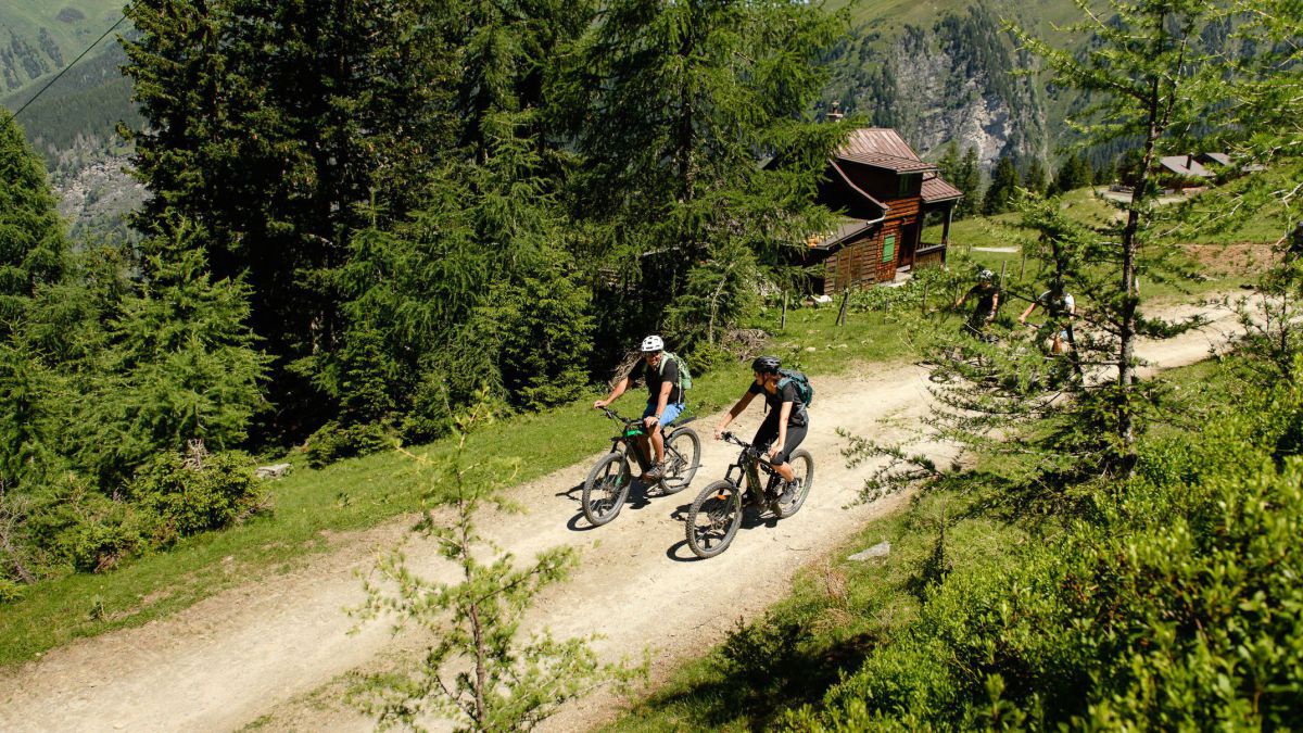 2 Mountainbiker auf einer Forststraße