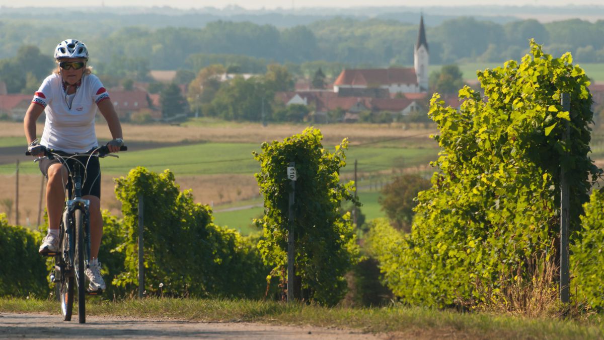 Radfahrerin, im Hintergrund ein Dorf mit Kirche und Weingärten.