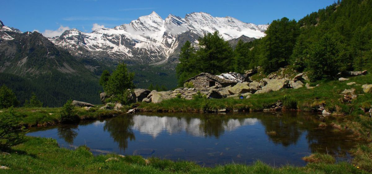Bergsee mit schneebedecktem Bergmassiv im Hintergrund