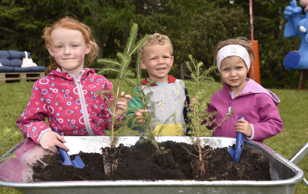 3 kleine Kinder hinter einer Scheibtruhe, in die sie drei kleine Bäume gepflanzt haben.