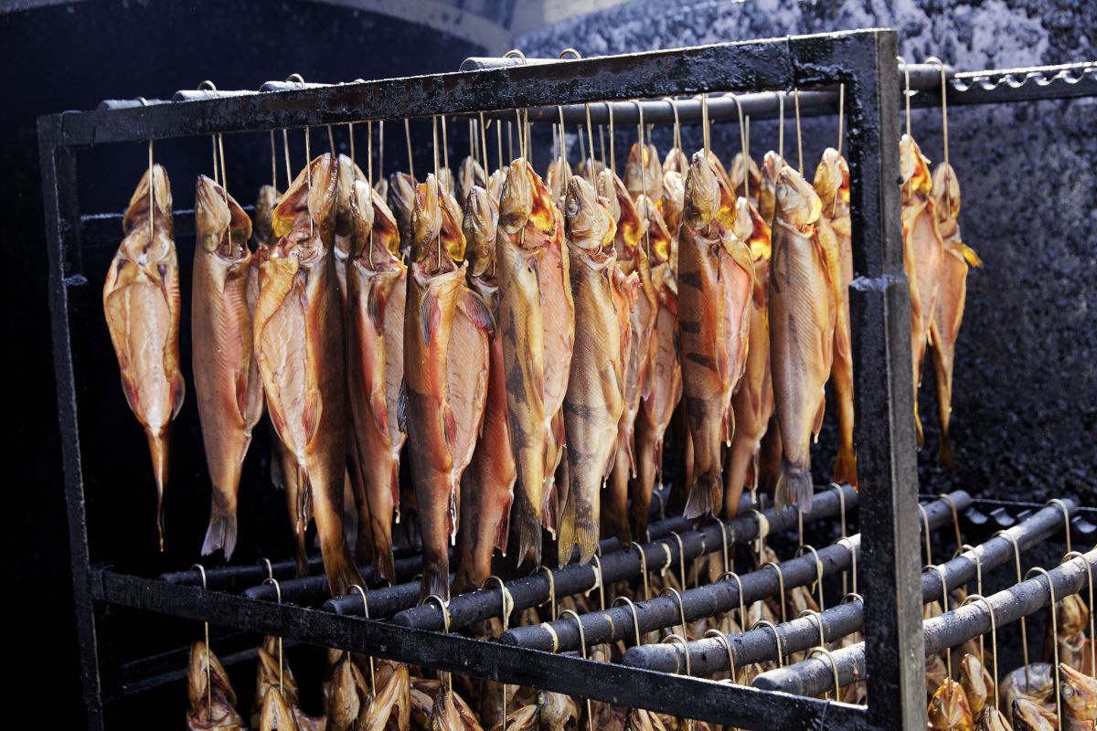 In einer Räucherkammer hängen auf einem Eisengestell zahlreiche lachs- und goldfarben schillernde Fische