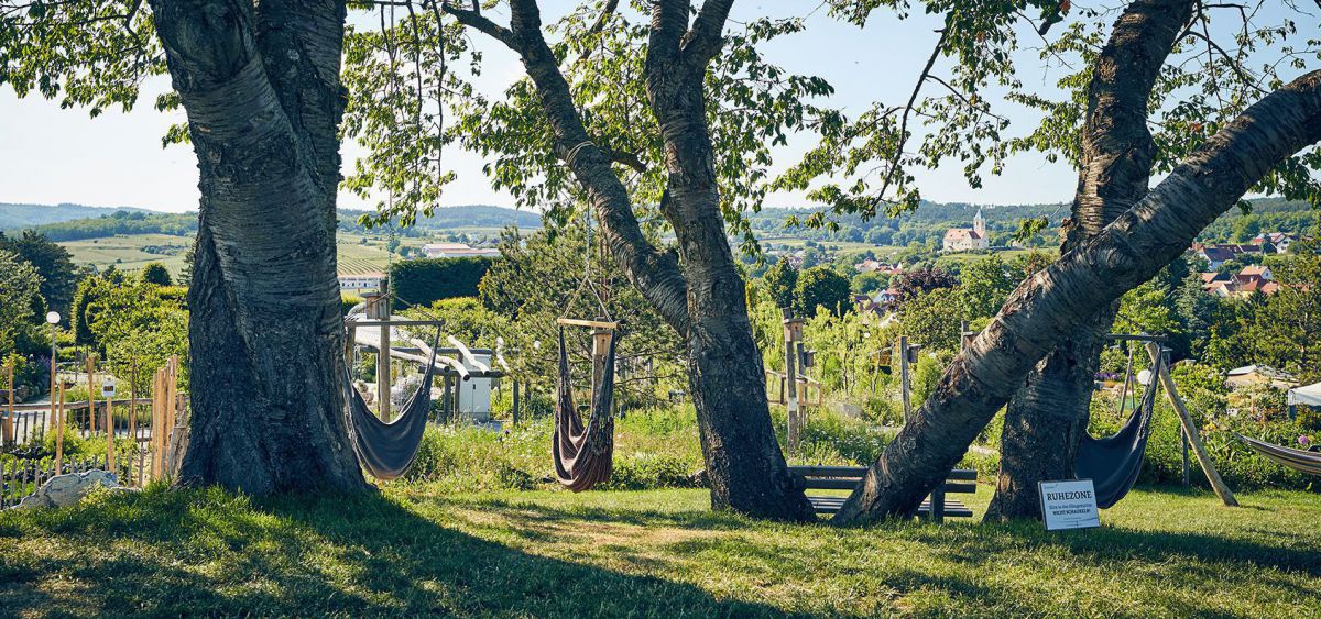 sIm Vordergrund mächtige Bäume, dahinter ein Garten mit Hängematten und Blick auf die Kirche in Schiltern.