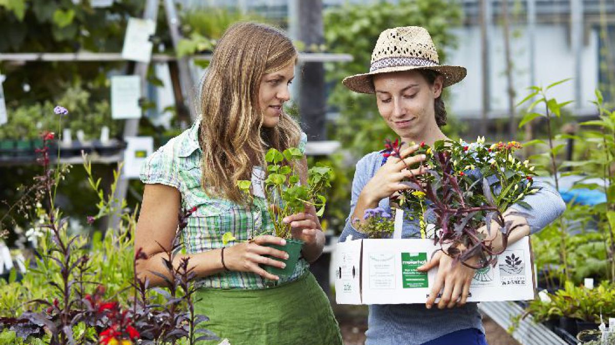 2 Frauen haben Pflanzen gekauft und tragen diese in einer Kartonschachtel.