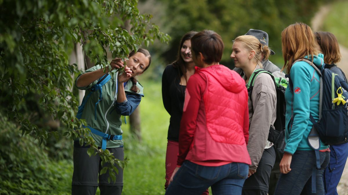 Gruppe bei einer Dirndlerntewanderung. Eine Naturvermittlerin zeigt der Gruppe eine Frucht am Strauch. 