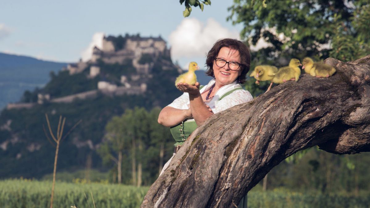 Iris Stromberger mit eiigen Küken, eines sitzt auf ihrer Hand. Im Hintergrund: Burg Hochosterwitz.