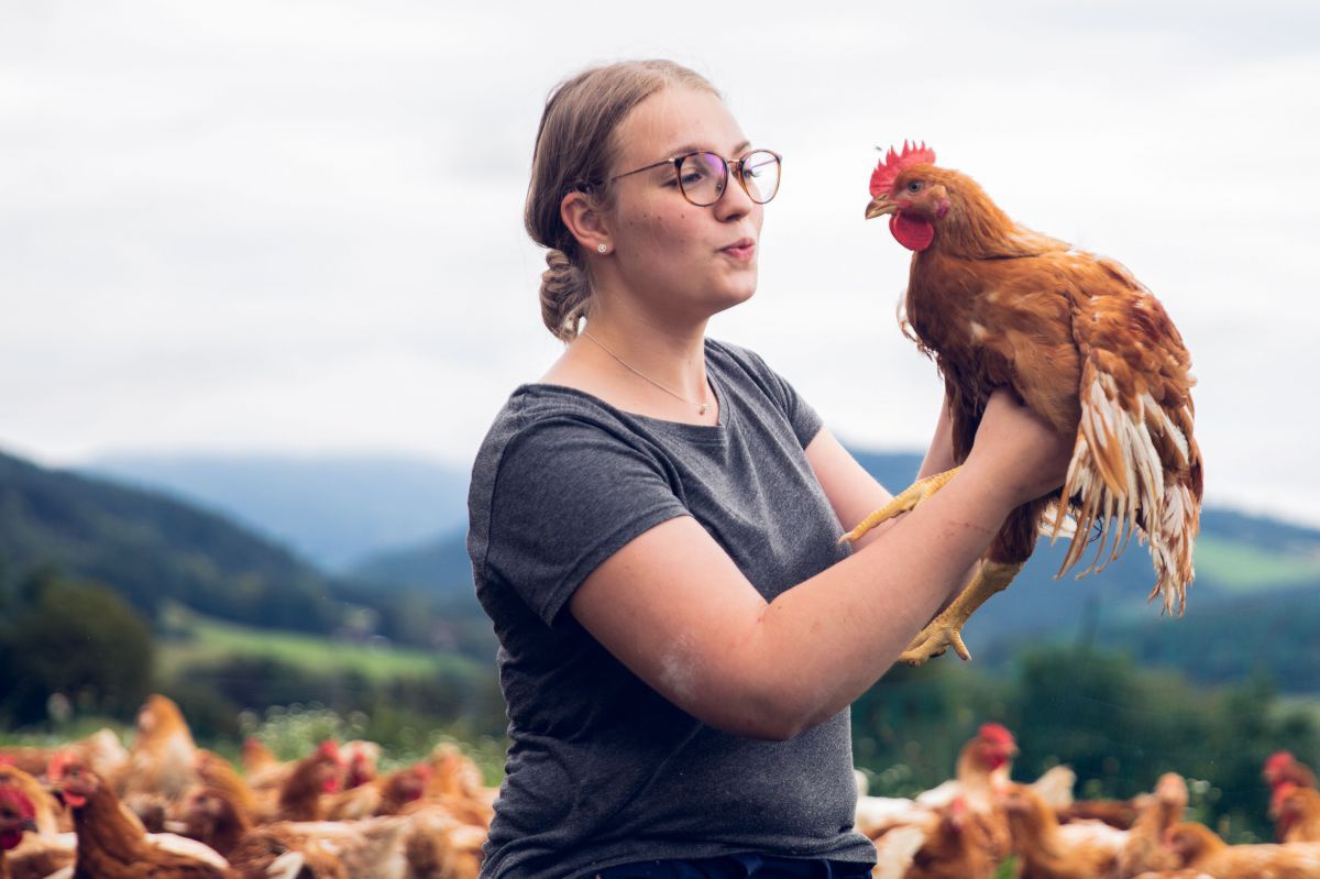 Frau hält eine Henne, dahinter Hühner auf der Wiese.