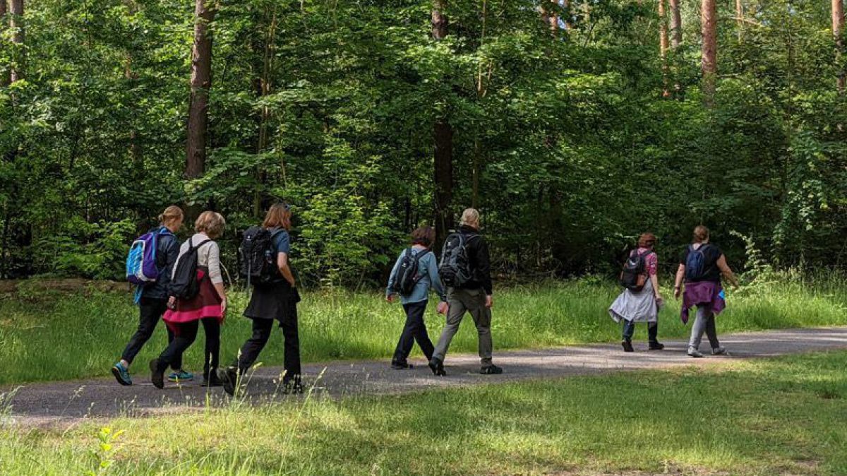 Gruppe spaziert durch einen Wald.