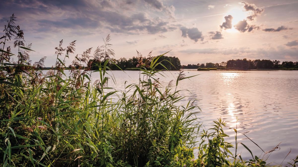 Teich bei Sonnenuntergang.