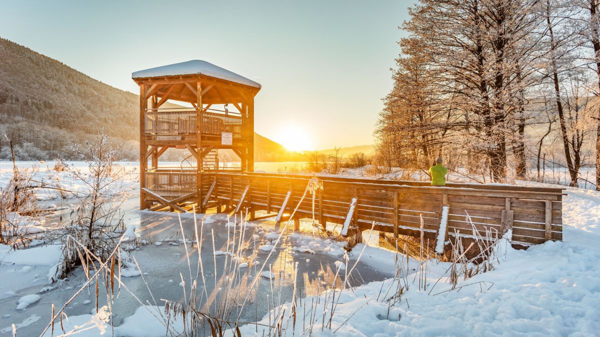 Aussichtsturm am tiefwinterlichen Bleistätter Moor mit Sonnenuntergang.